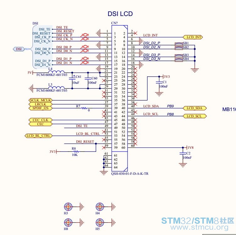 stm-dsi.jpg