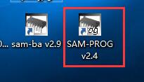 SAM-PROG.jpg