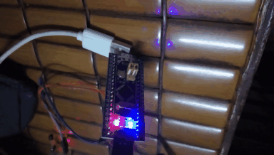 6.gif