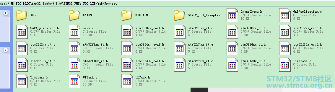 \STM32 PMSM FOC LIB\Web\Project