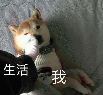 å¾®ä¿¡å¾ç_20200726222200.jpg