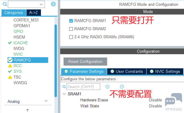 10RAMCFG配置.png