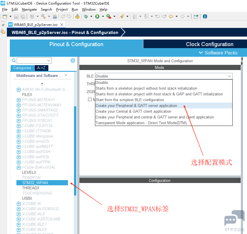 STM32_WPAN_Setting.png
