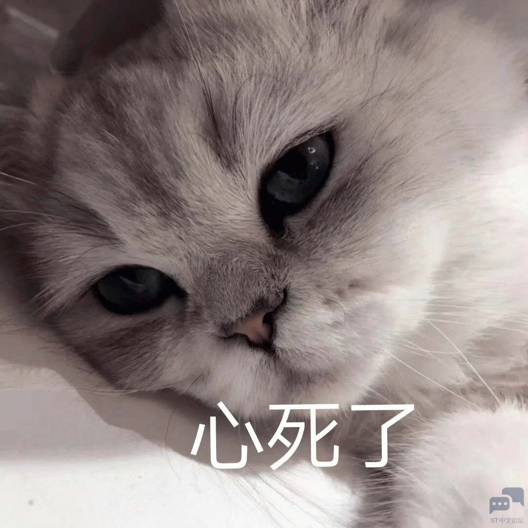 我死了.gif