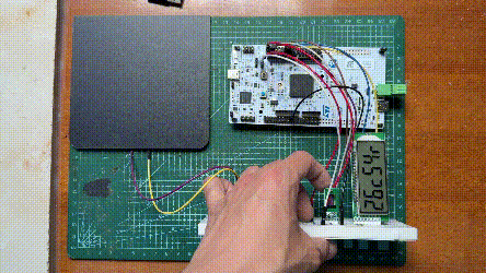IMG_3301.gif