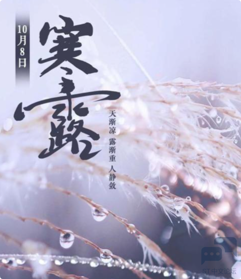 QQ_1791419140533.png